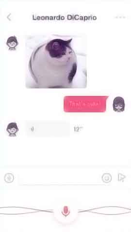 攻击网站在线工具软件程序维护界面